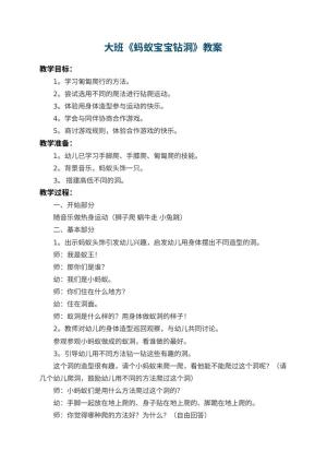 幼儿园大班教案《蚂蚁宝宝钻洞》 包含反思