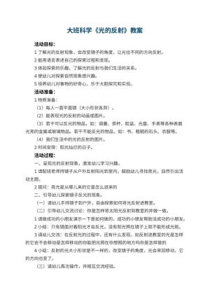 幼儿园大班科学教案《光的反射》 包含反思预览