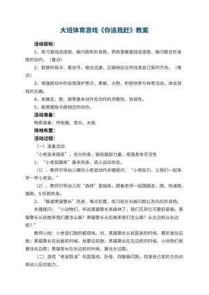 幼儿园大班体育游戏教案《你追我赶》 包含反思预览