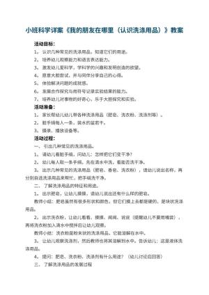 幼儿园教案小班科学详案《我的朋友在哪里（认识洗涤用品）》 包含反思预览