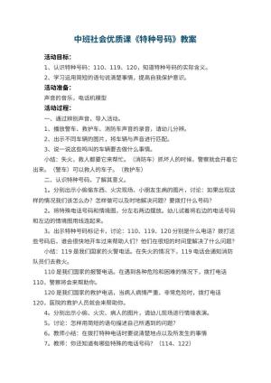 幼儿园中班社会优质课教案《特种号码》 包含反思预览