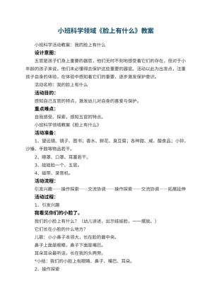 幼儿园小班科学领域教案《脸上有什么》 包含反思预览