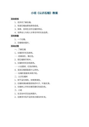 幼儿园小班教案《认识石榴》