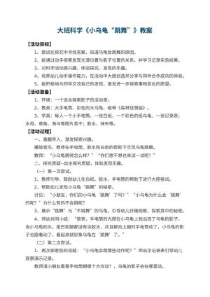 幼儿园大班科学教案《小乌龟“跳舞”》预览
