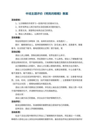 幼儿园中班主题教案评价《明亮的眼睛》 包含反思预览