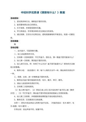 幼儿园中班科学优质课教案《猜猜有什么？》 包含反思预览