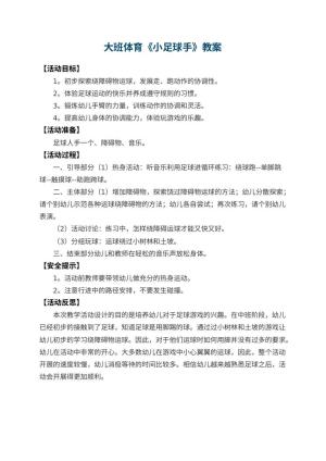 幼儿园大班体育教案《小足球手》 包含反思预览