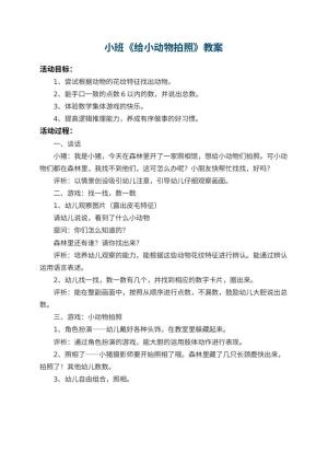 幼儿园小班教案《给小动物拍照》