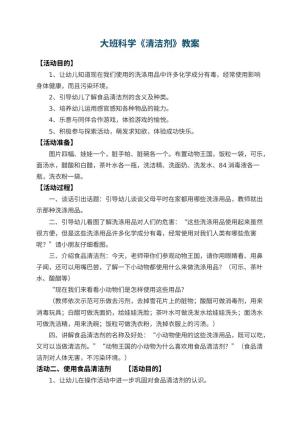 幼儿园大班科学优秀教案《清洁剂》 包含反思预览
