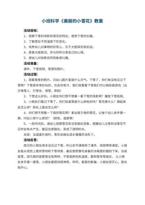 幼儿园小班科学教案《美丽的小雪花》 包含反思预览