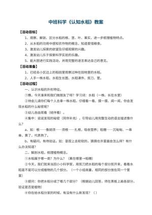 幼儿园中班科学教案《认知水稻》 包含反思