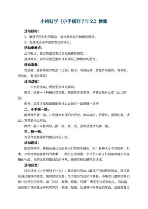 幼儿园小班科学优秀教案《小手摸到了什么》 包含反思