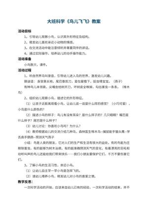 幼儿园大班科学教案《鸟儿飞飞》 包含反思预览
