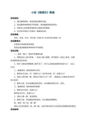 幼儿园小班教案《摸摸乐》 包含反思预览