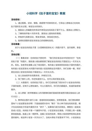 幼儿园小班科学教案《肚子里的宝宝》 包含反思预览