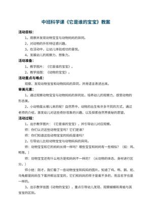 幼儿园中班科学课教案《它是谁的宝宝》 包含反思预览