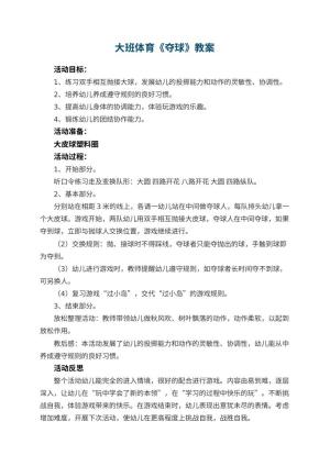 幼儿园大班体育教案《夺球》 包含反思预览