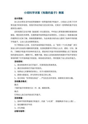 幼儿园小班科学详案教案《有趣的盖子》 包含反思预览
