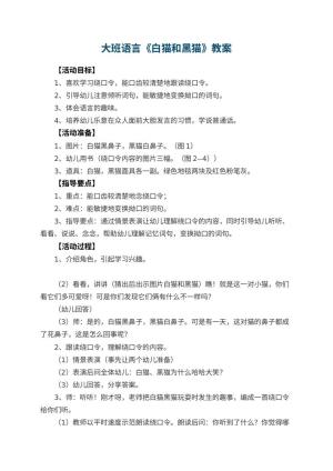幼儿园大班语言教案《白猫和黑猫》 包含反思预览