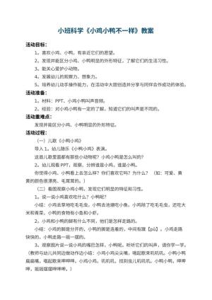幼儿园小班科学优秀教案《小鸡小鸭不一样》 包含反思预览