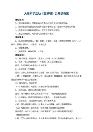 幼儿园大班科学活动《翻滚吧》公开课教案 包含反思预览