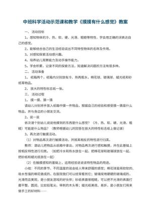 幼儿园中班科学活动示范课教案和教学《摸摸有什么感觉》 包含反思预览