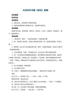幼儿园大班科学详案教案《插花》 包含反思预览