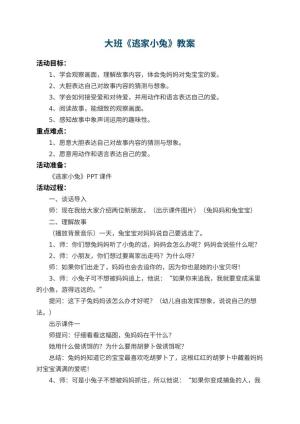 幼儿园大班教案《逃家小兔》 包含反思预览