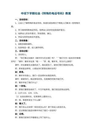 幼儿园中班下学期社会教案《特殊的电话号码》 包含反思