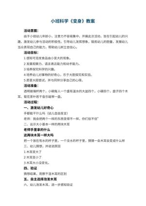 幼儿园小班科学教案《变身》 包含反思预览