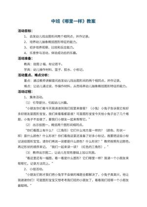 幼儿园中班教案《哪里一样》 包含反思预览