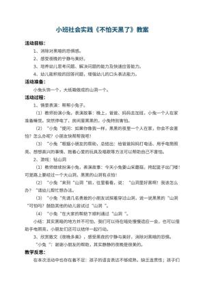幼儿园小班社会实践教案《不怕天黑了》 包含反思预览