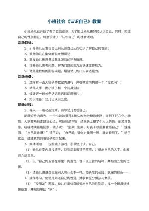 幼儿园小班社会教案《认识自己》 包含反思预览