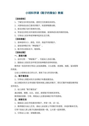 幼儿园小班科学课教案《鞋子的聚会》 包含反思