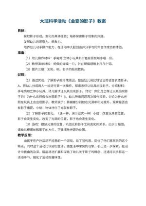 幼儿园大班科学活动教案《会变的影子》 包含反思预览