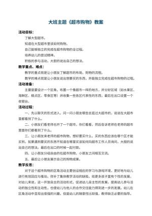 幼儿园大班主题教案《超市购物》 包含反思预览