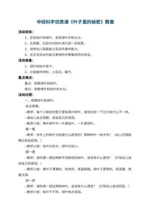幼儿园中班科学优质课教案《叶子里的秘密》 包含反思预览