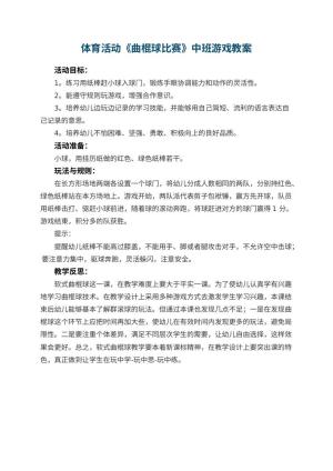 幼儿园体育活动《曲棍球比赛》中班游戏教案 包含反思预览