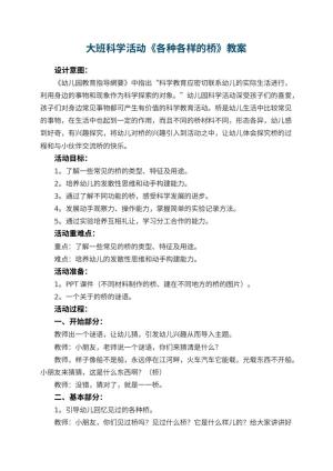 幼儿园大班科学活动教案《各种各样的桥》 包含反思预览