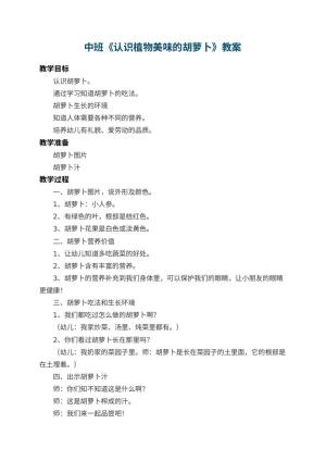 幼儿园中班教案《认识植物美味的胡萝卜》