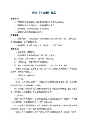 幼儿园大班教案《不许摸》