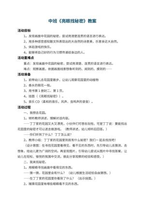 幼儿园中班教案《亮眼找秘密》 包含反思预览