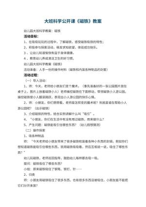 幼儿园大班科学公开课教案《磁铁》 包含反思预览