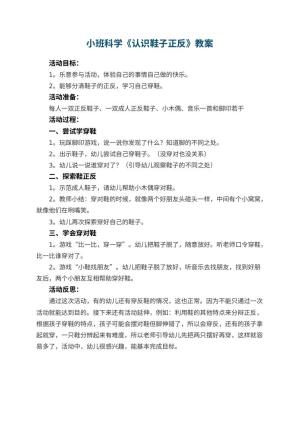 幼儿园小班科学优秀教案《认识鞋子正反》 包含反思预览