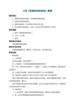 幼儿园小班教案《爸爸妈妈的卷发》 包含反思预览
