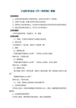幼儿园小班科学活动教案《不一样的梨》 包含反思预览