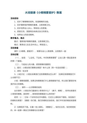 幼儿园大班健康教案《小眼睛要爱护》 包含反思预览