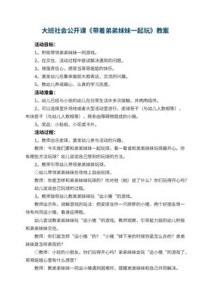 幼儿园大班社会公开课教案《带着弟弟妹妹一起玩》 包含反思预览