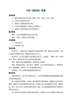幼儿园中班教案《我的脸》 包含反思