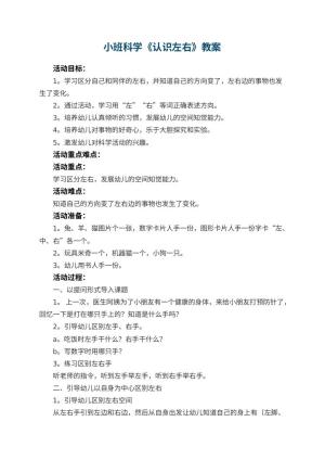 幼儿园小班科学教案《认识左右》 包含反思预览